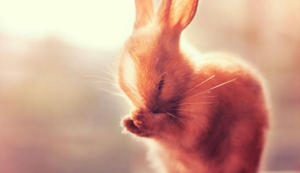 奇德新材：公司治理规范发展稳健经营正常