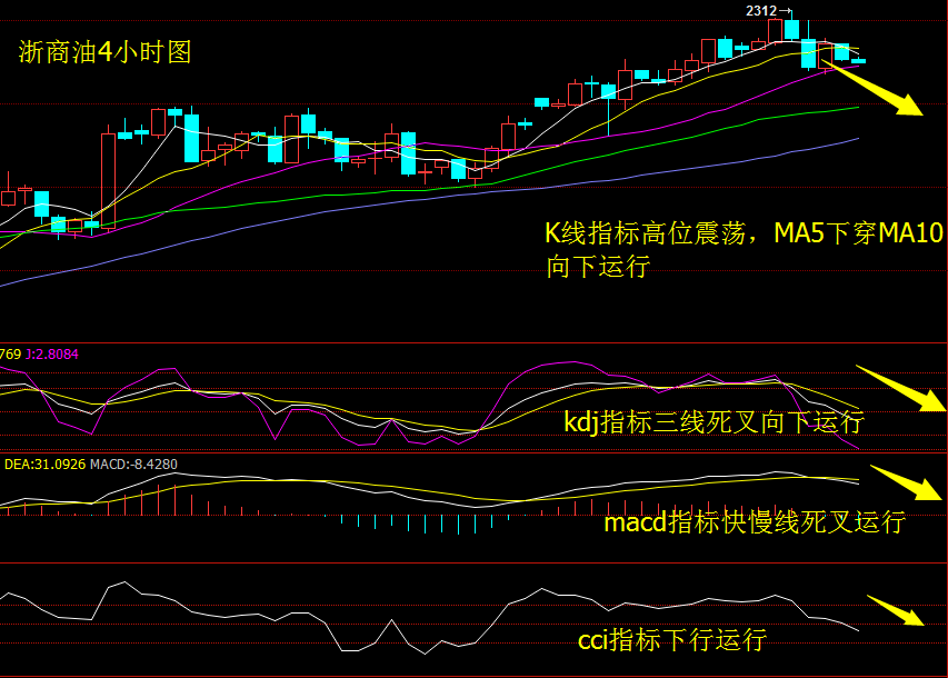 雷畅胜《卧龙黄金梅》