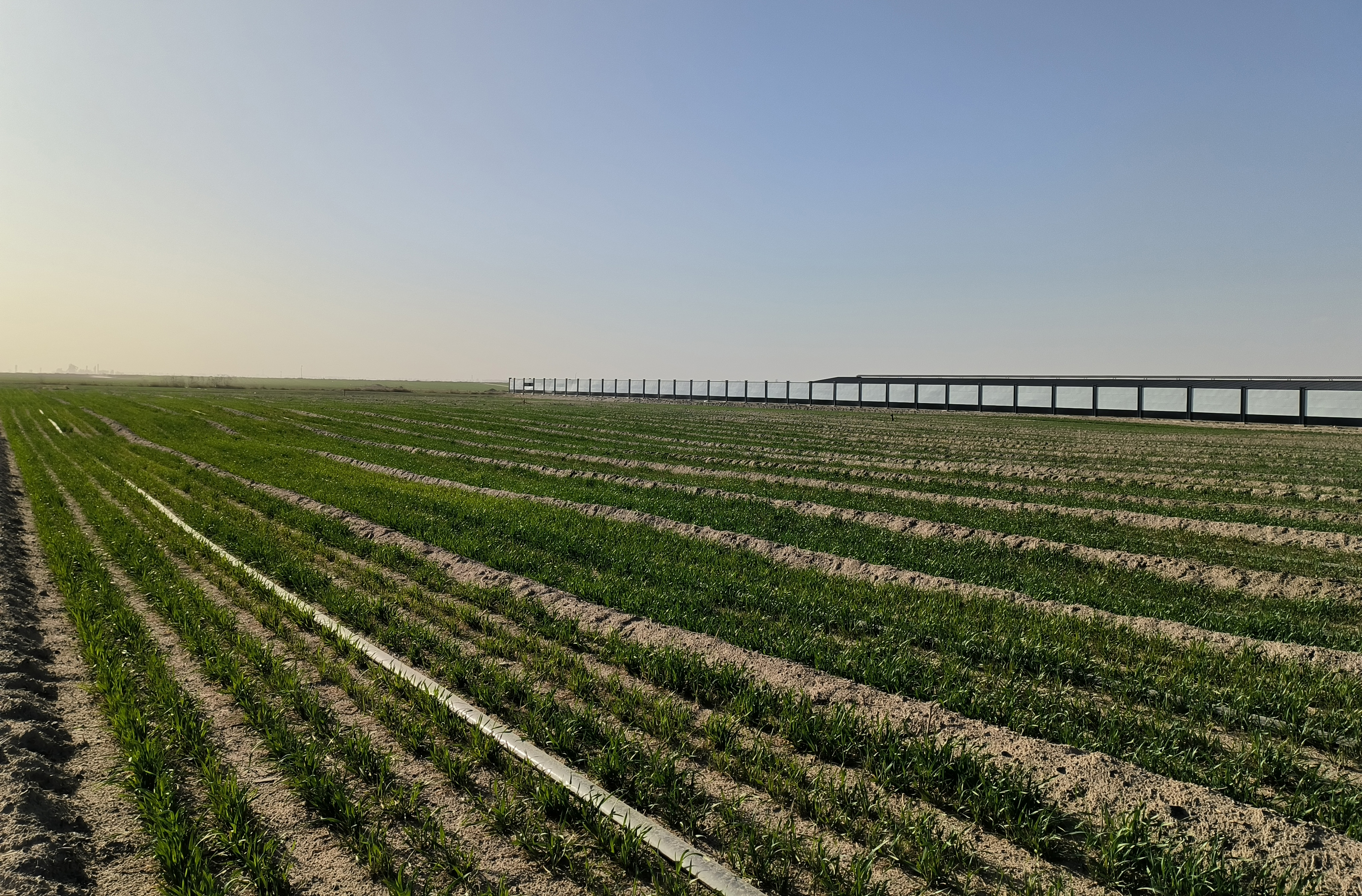 中共中央、国务院：加快推进农业全面绿色转型