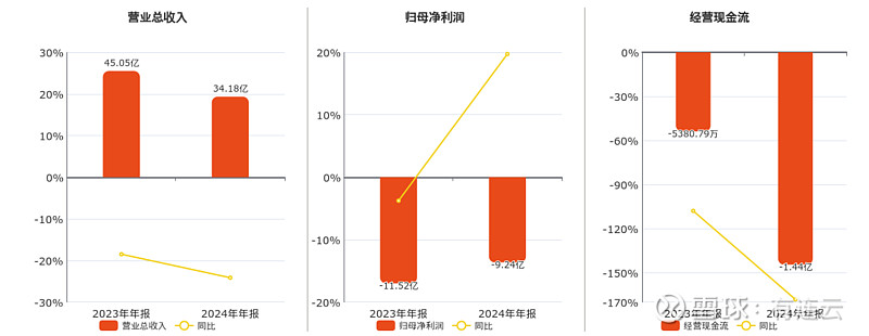 天能重工(300569.SZ):2024年净亏损2.62亿元