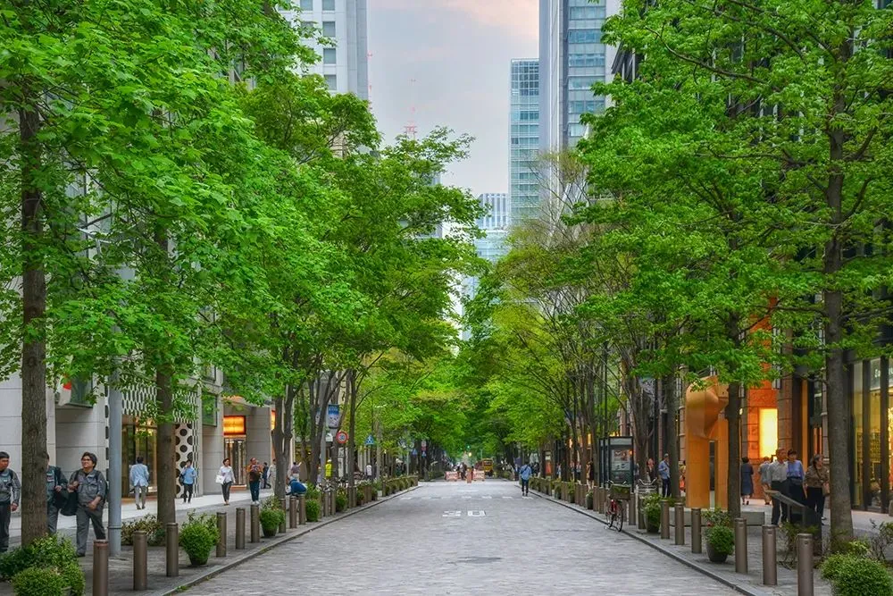 城市绿色共建指数发布：十年环境治理重塑城市“颜值”，宁波、深圳、北京领跑