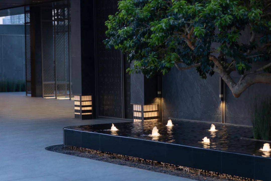 拾级而上 向光向阳――2025「心阶讲堂」跨界启幕,共筑青少年心理韧性