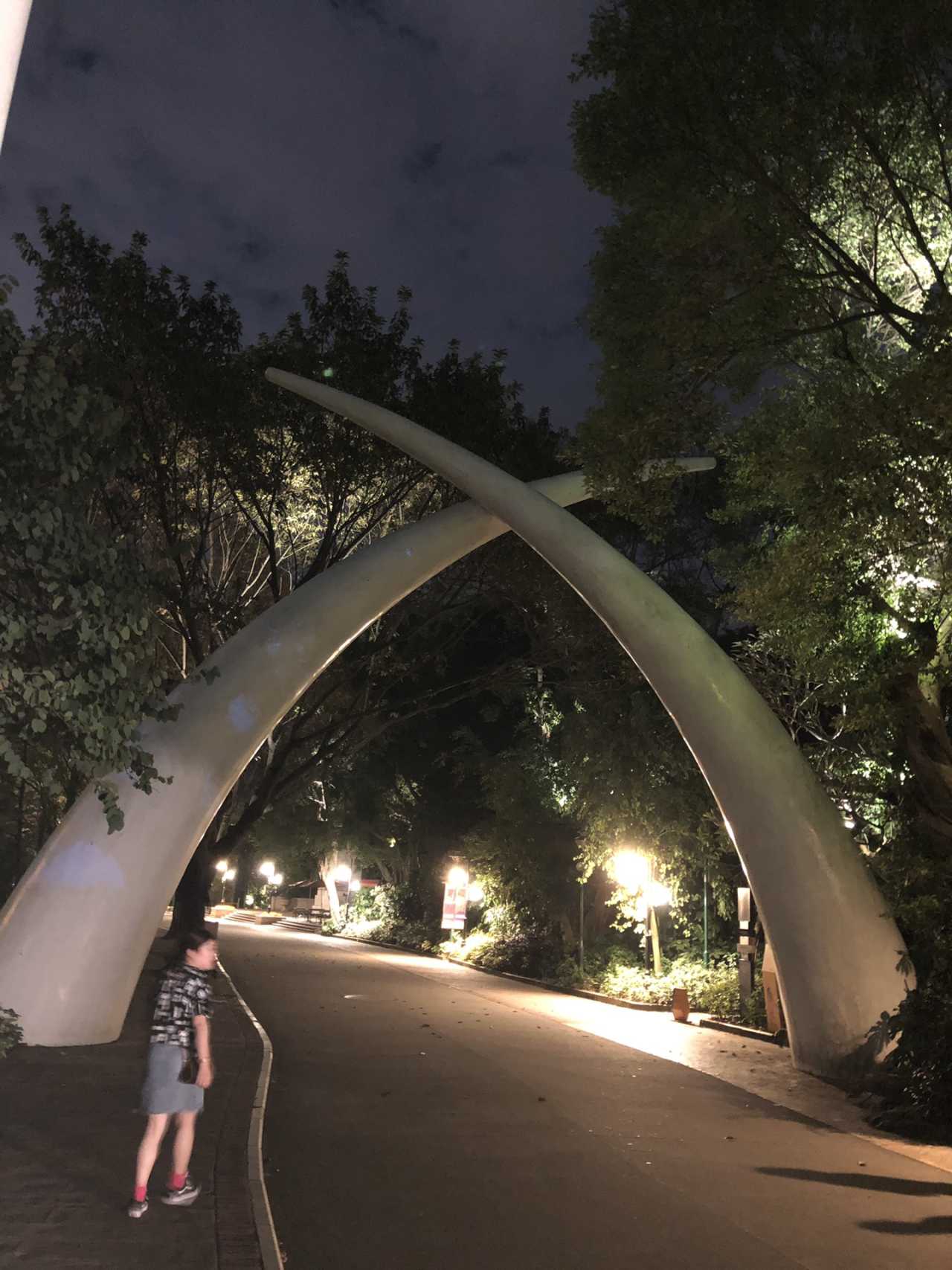 返程提醒！这些“战利品”能带上火车吗？