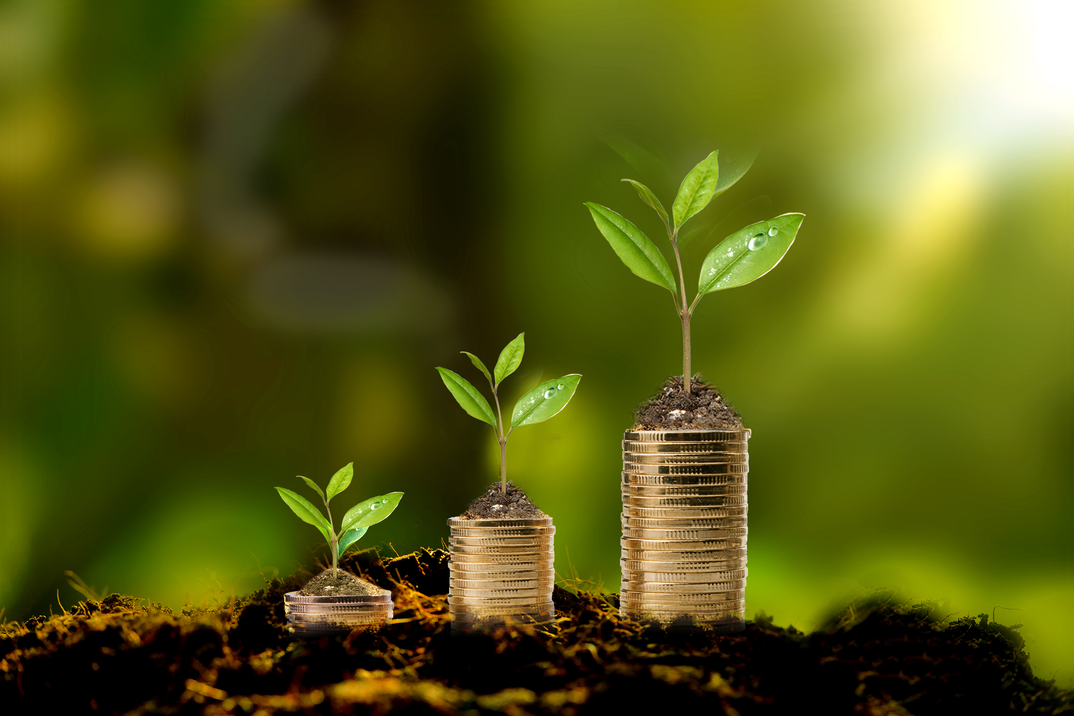 深蓝股份2024年年度权益分派预案：每10股派发现金红利3元