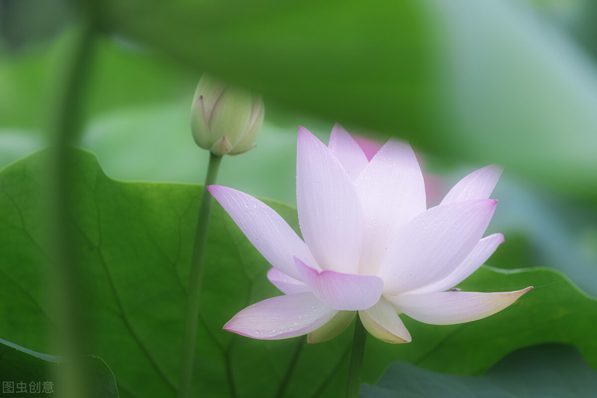 资深生命教练闲子谈入行原因:一位母亲跨越生死的力量密码