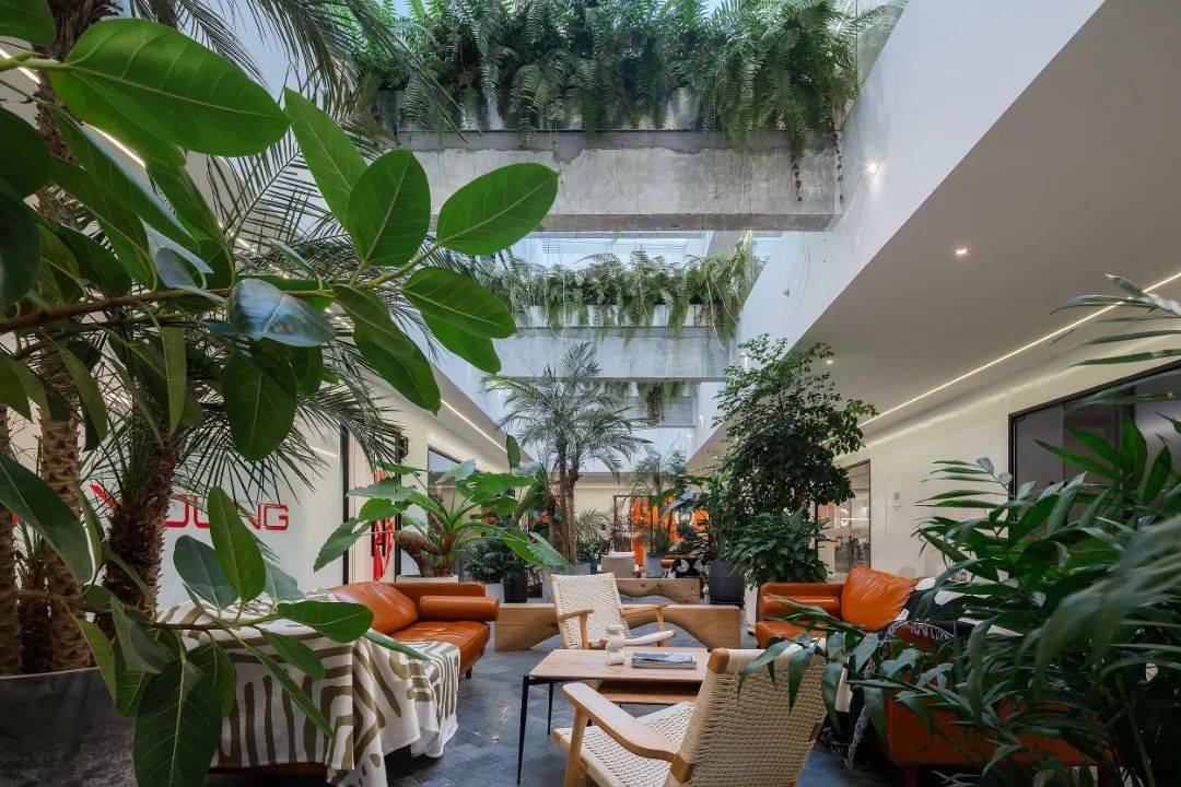 德必集团：2024年保持稳健发展态势 年末在管园区总数达83个