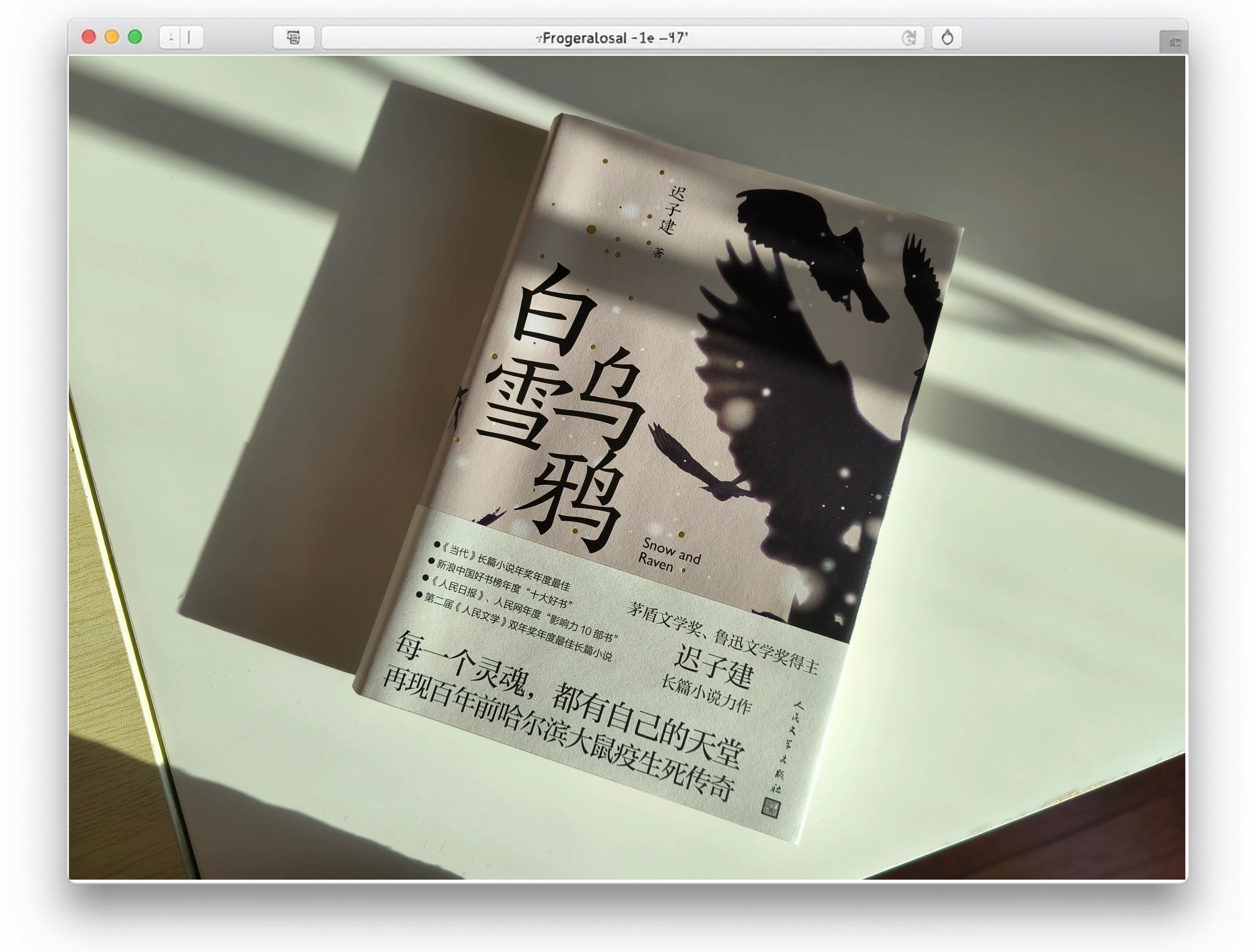 《席勒:死神和少女》:艺术、爱情与命运的交响曲