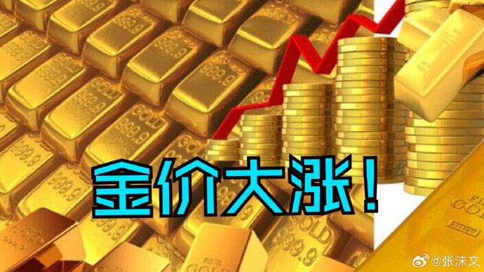 美联储哈玛克为何表态“按兵不动”？