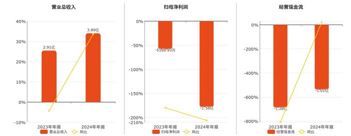 振东制药2024年亏损扩大至13.29亿：董秘王哲宇薪酬56万