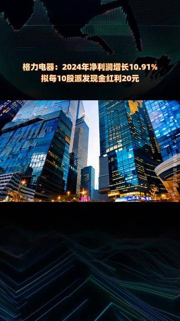 金叶科技2024年年度权益分派预案：每10股派发现金红利1.2元