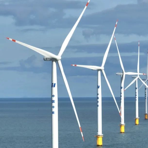 华能水电获得发明专利授权：“一种面向粘沉性卵鱼类的智能移动式人工鱼巢实验平台”