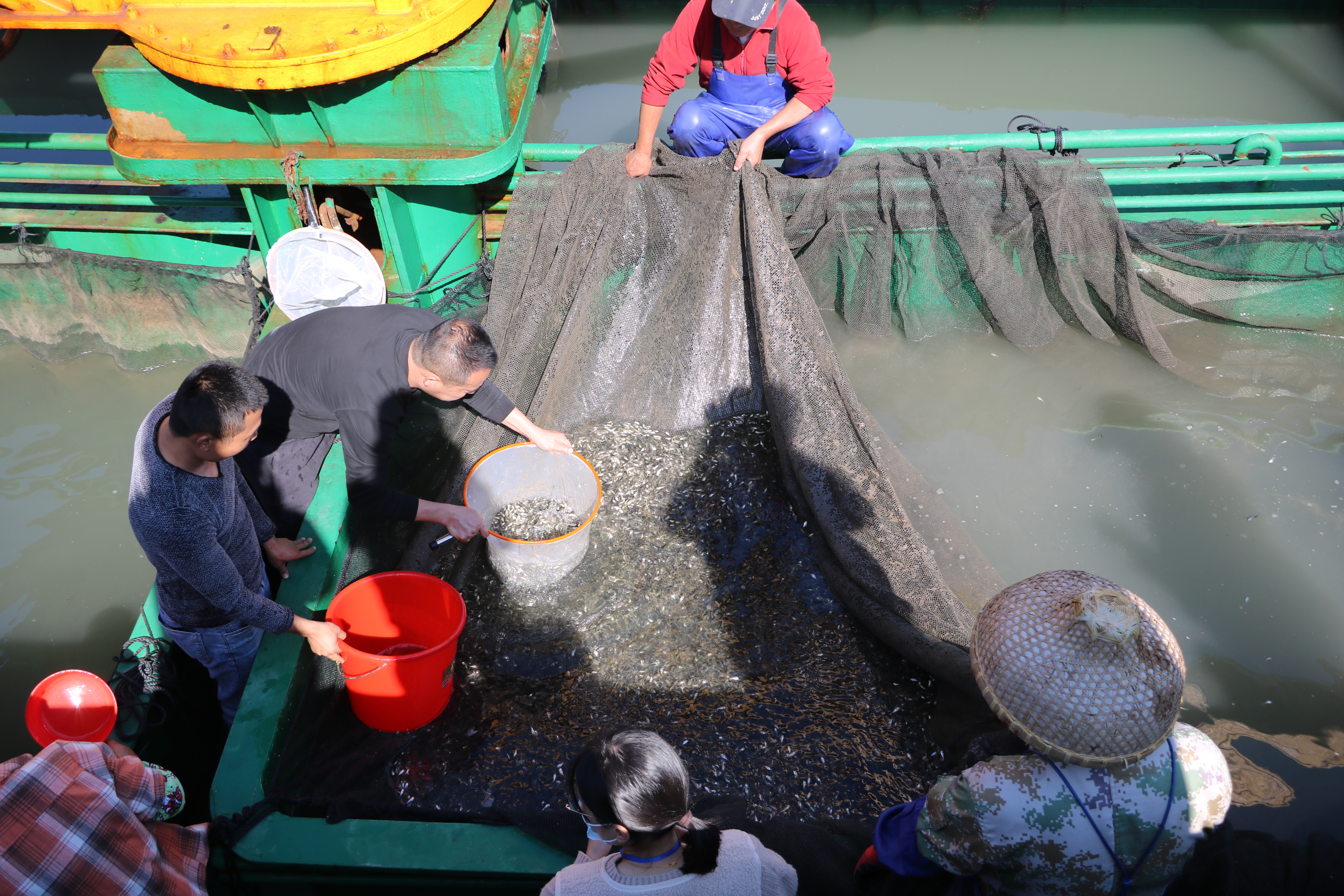 农业农村部连续11年组织开展全国水生生物同步增殖放流