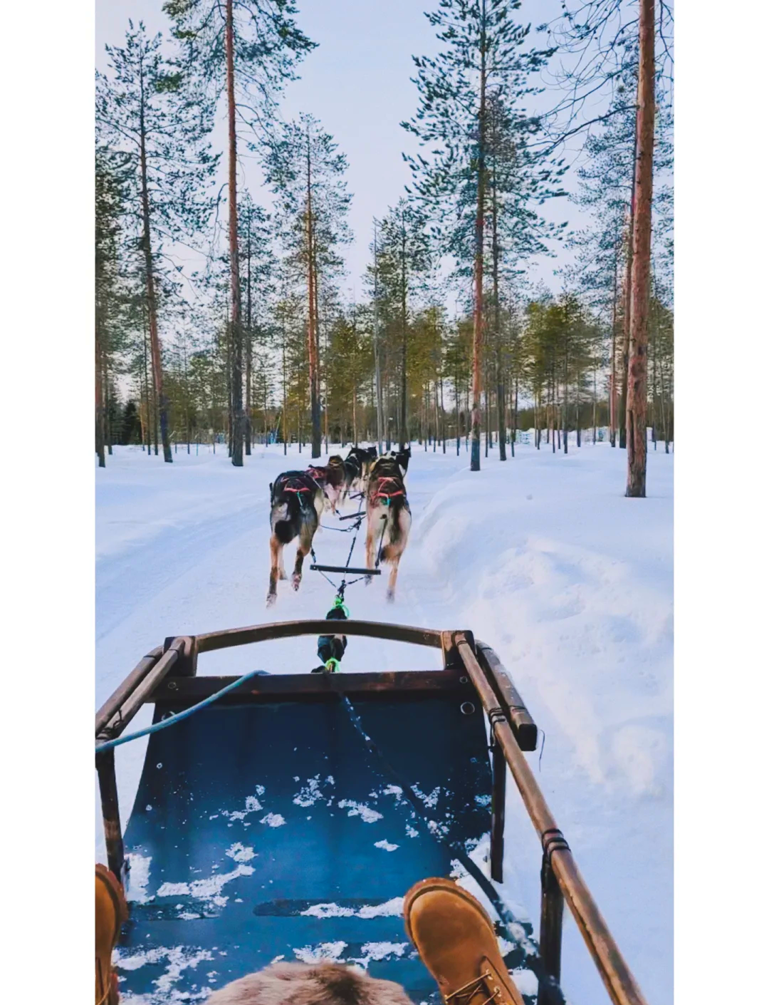 斯德哥尔摩：在极光未至的纬度