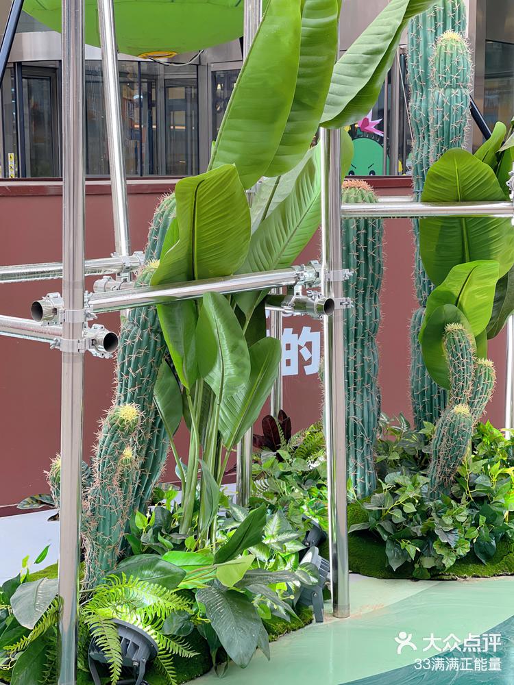 太出片了！沈阳新晋热门打卡地