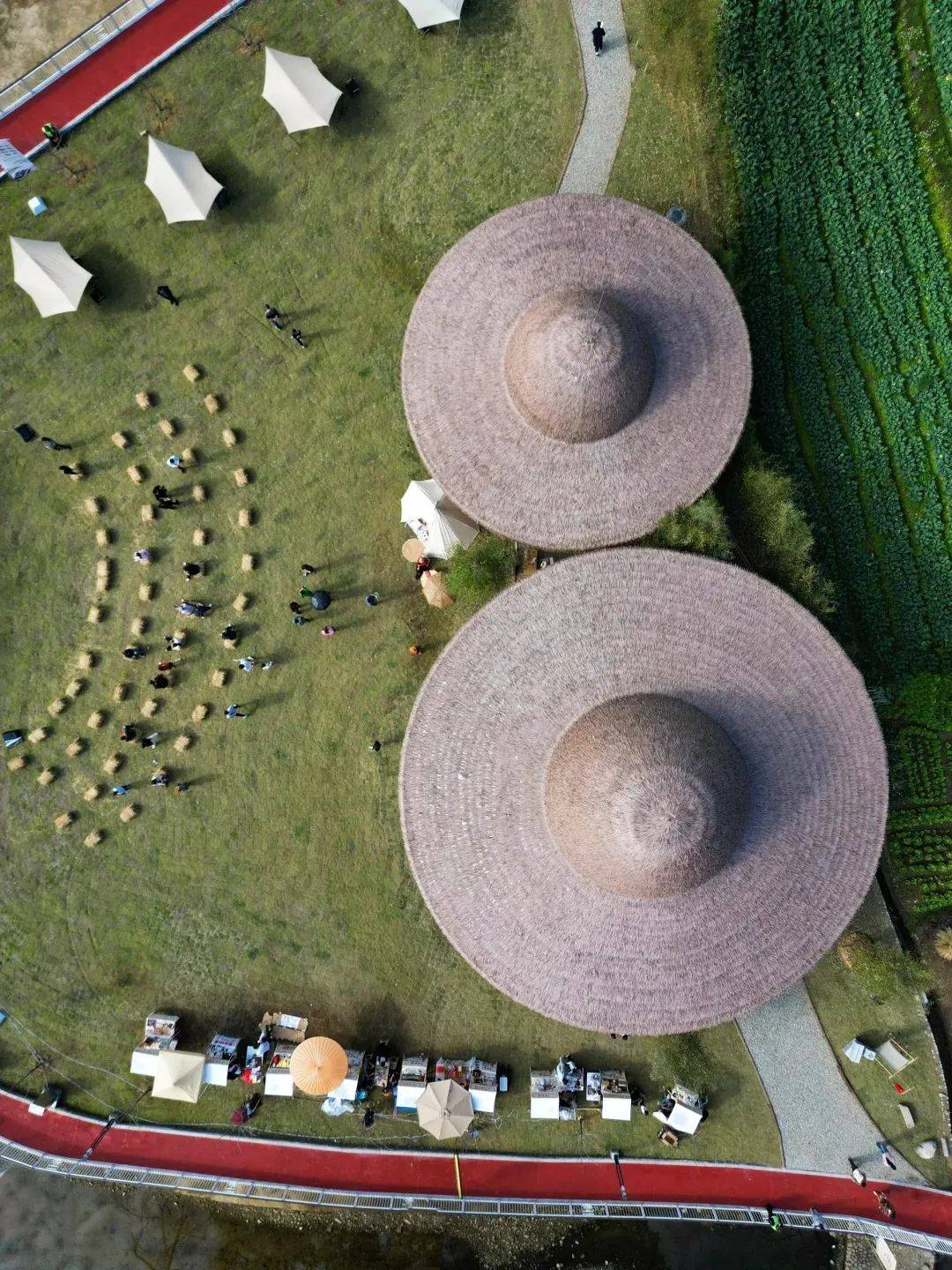 台州椒江新晋网红打卡地，稻田边有宝藏“壁画”