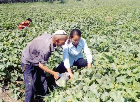 看不见的“两手”――行商体制的商欠危机