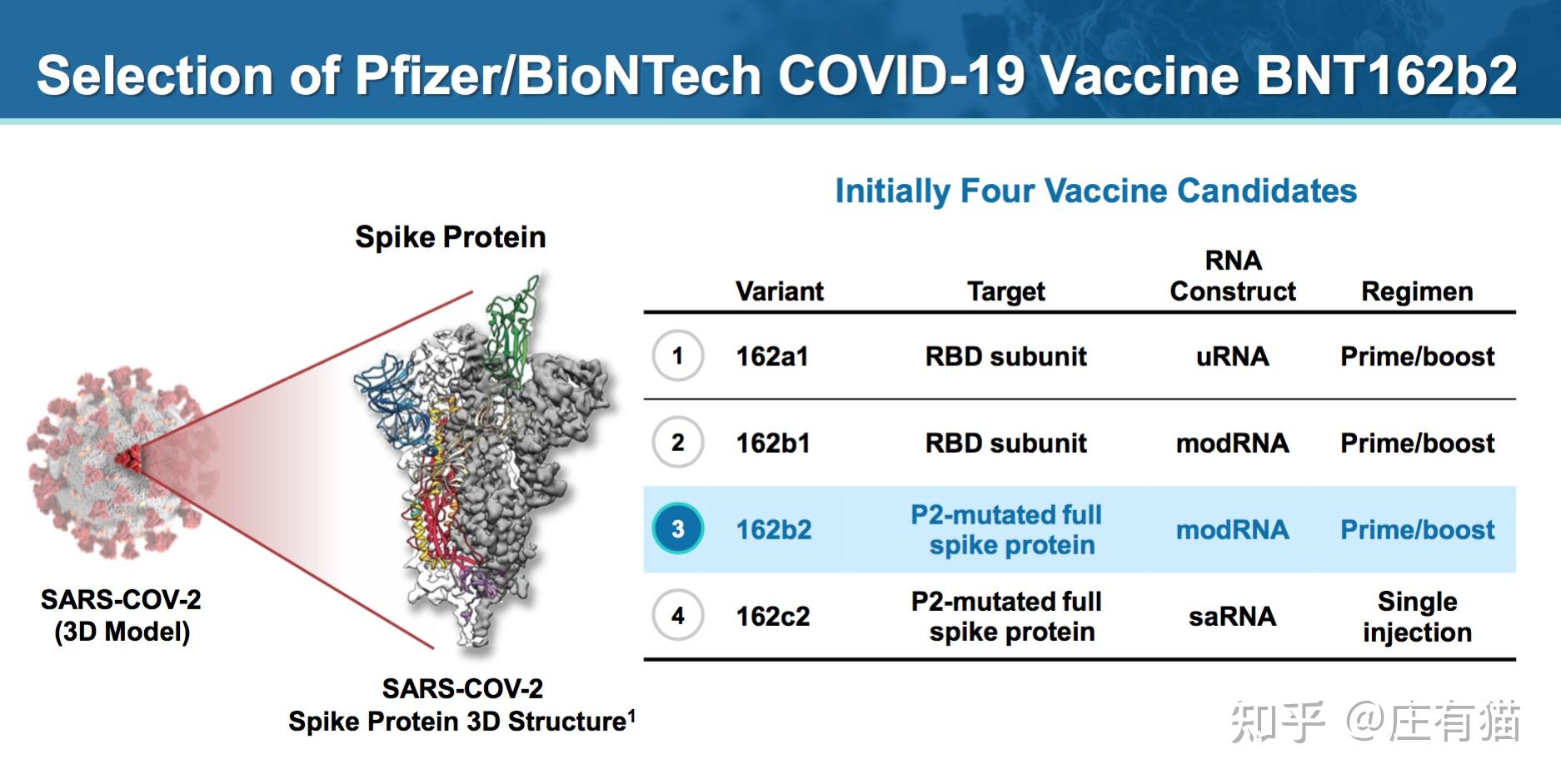 美疾控疫苗团队改组引持续争议
