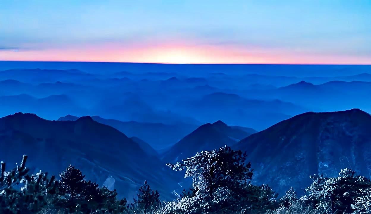 双飞集团:截止2025年6月30日持有人数24221