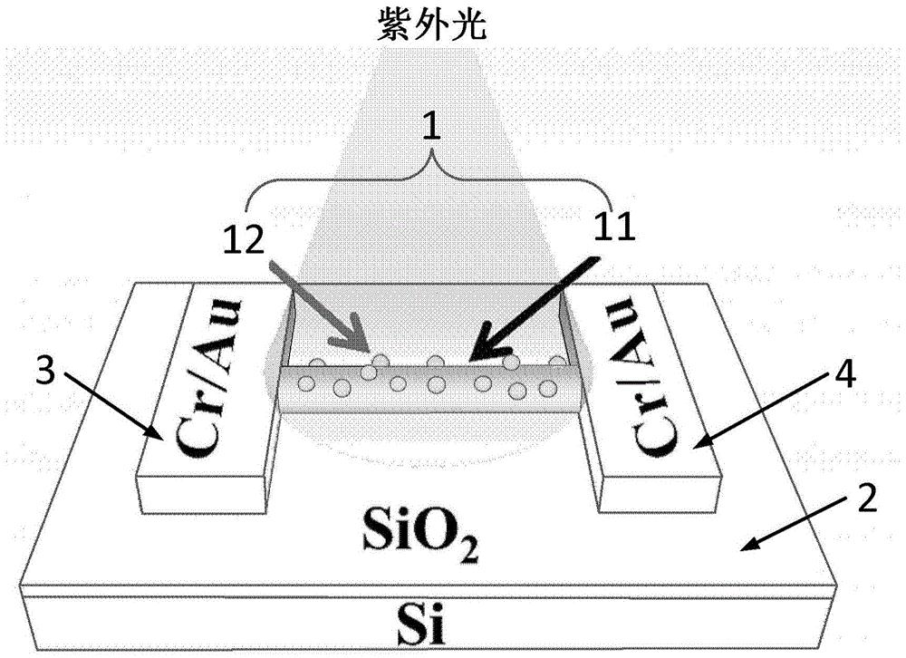 聚飞光电获得发明专利授权：“量子点膜组件及其制作方法、LED封装体”