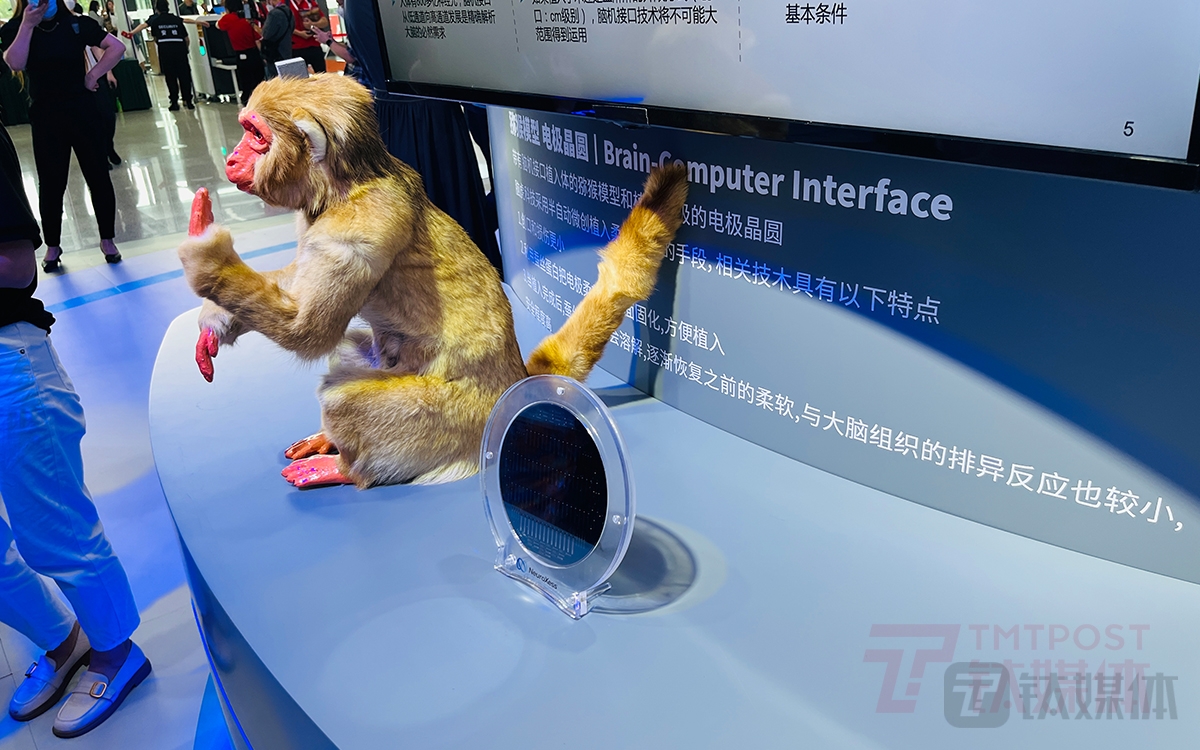脑虎科技创始人彭雷:脑机接口设计的核心难点