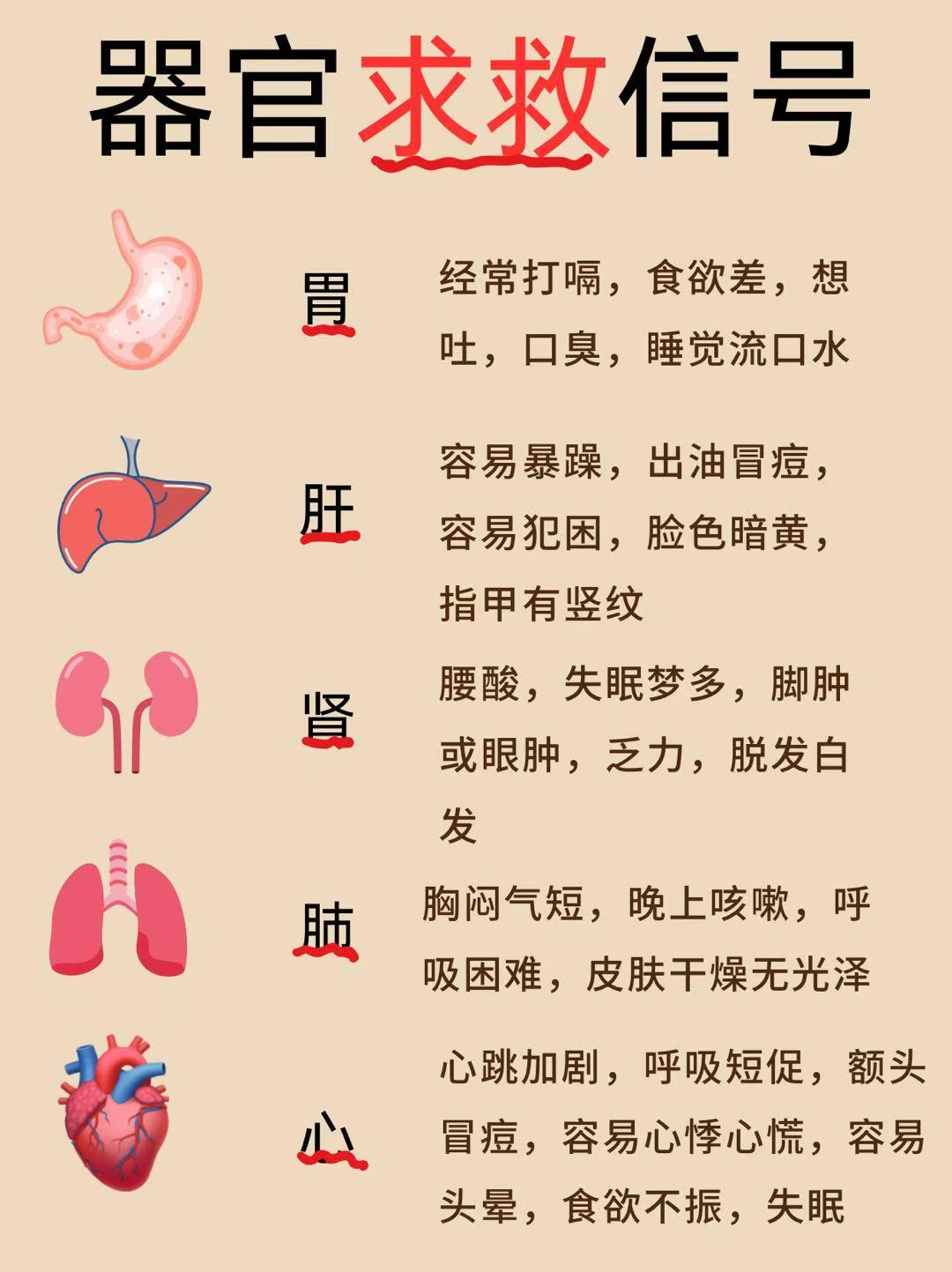 深度了解自己|情绪的身体信号:如何通过躯体化反应识别被压抑的心理需求