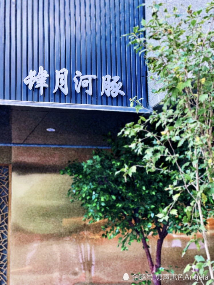 河豚家族获B轮融资3000万元，投资人看中供应链