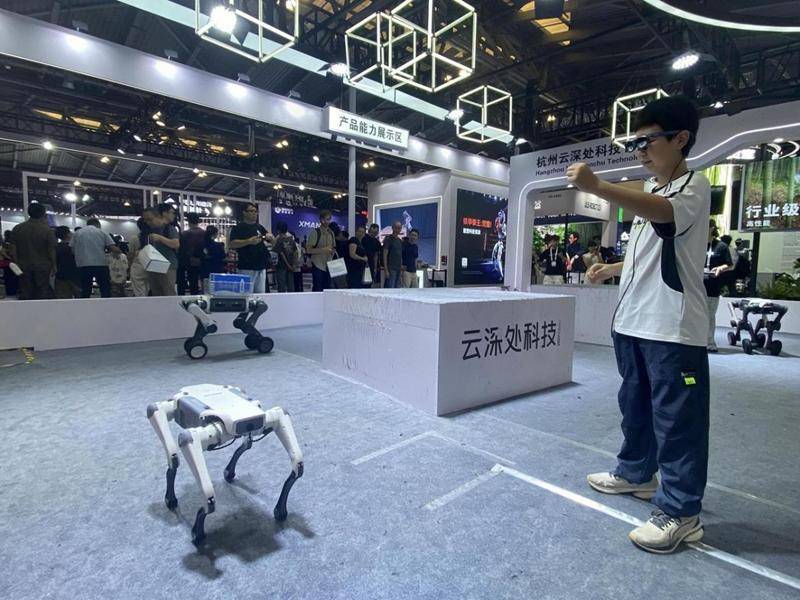 WAIC直击：中国具身智能集体“找工作”