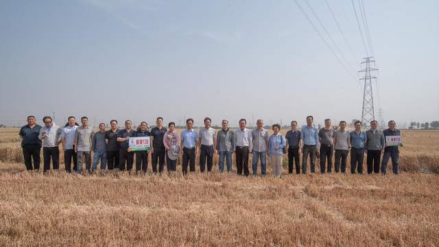 农业农村部组织开展东北片区大面积单产提升现场观摩