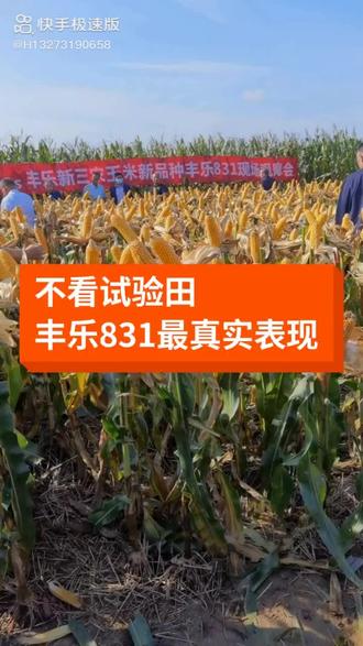 丰乐种业：公司玉米种子和水稻种子均有退货