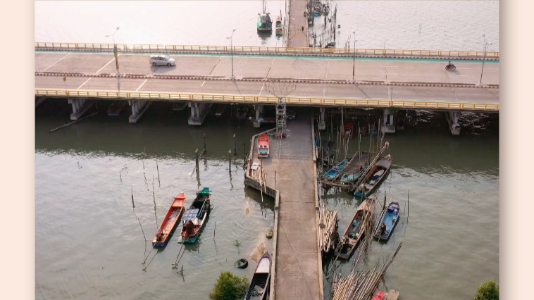 2024年我国渔业生态环境状况总体保持稳定