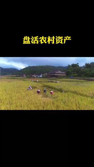 农业农村部持续强化网络售种专项整治