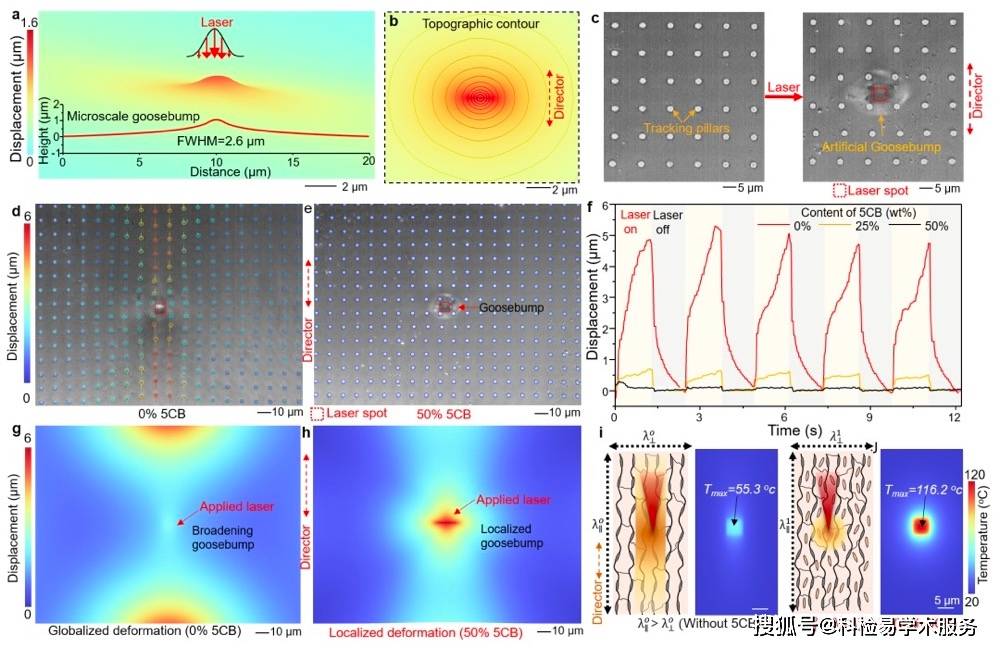 中国石化获得发明专利授权：“一种适用于裂缝调控的CO2响应性凝胶体系及其制备方法和应用”
