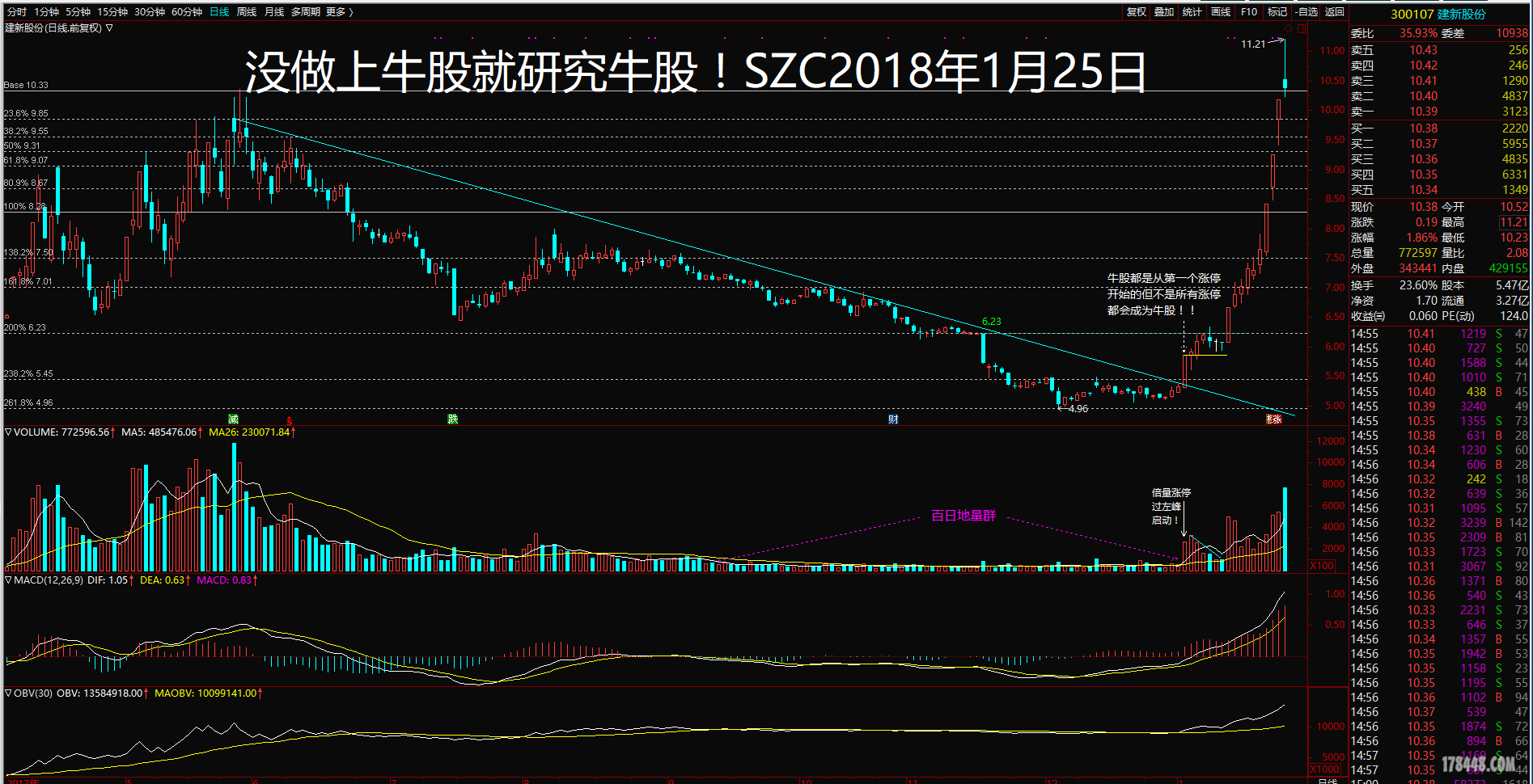 建新股份（300107）2025年中报简析：净利润减54.98%，公司应收账款体量较大