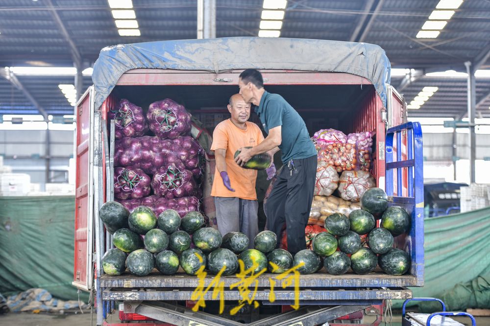 农业农村部：全国农产品批发市场猪肉平均价格为20.23元/公斤 较昨日降0.1%