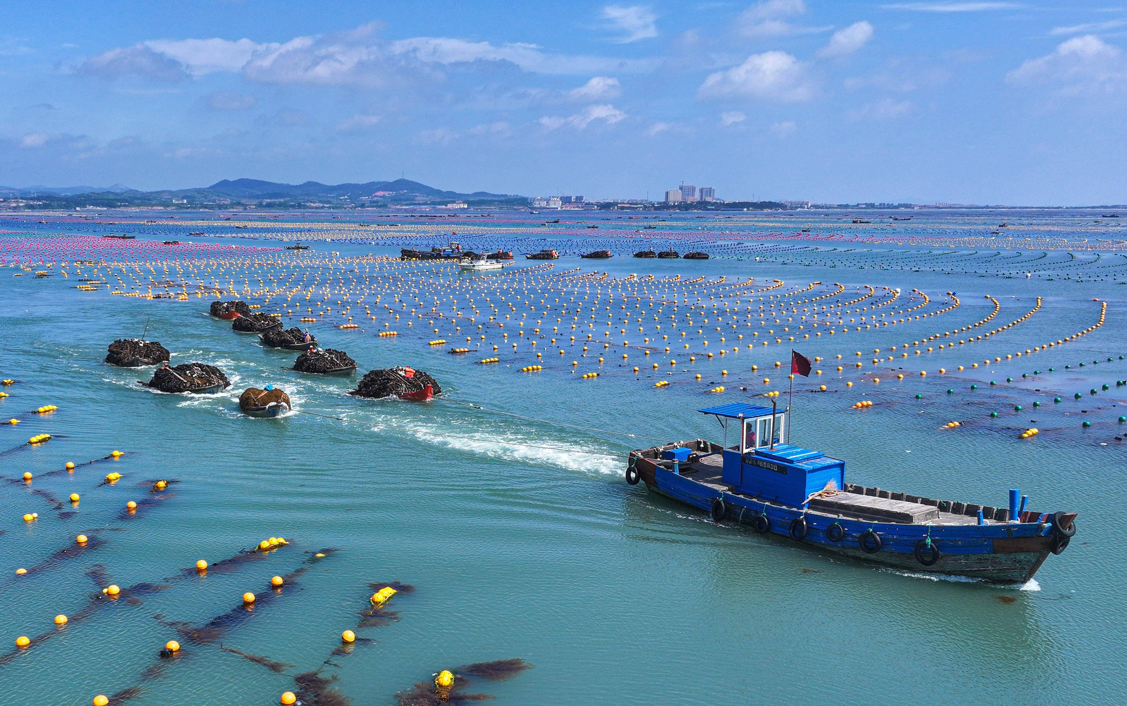 国家有关部门：积极探索鼓励央企和社会资本参与发展海洋经济