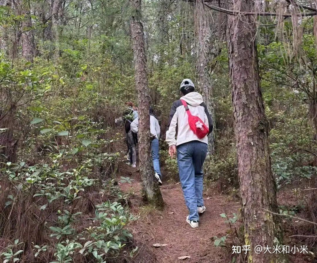 苍山孤独症男童走失离世：看见特殊教育的困境
