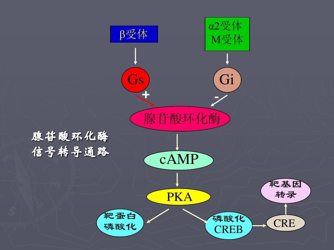 欧普康视获得发明专利授权：“一种受体角膜环钻”