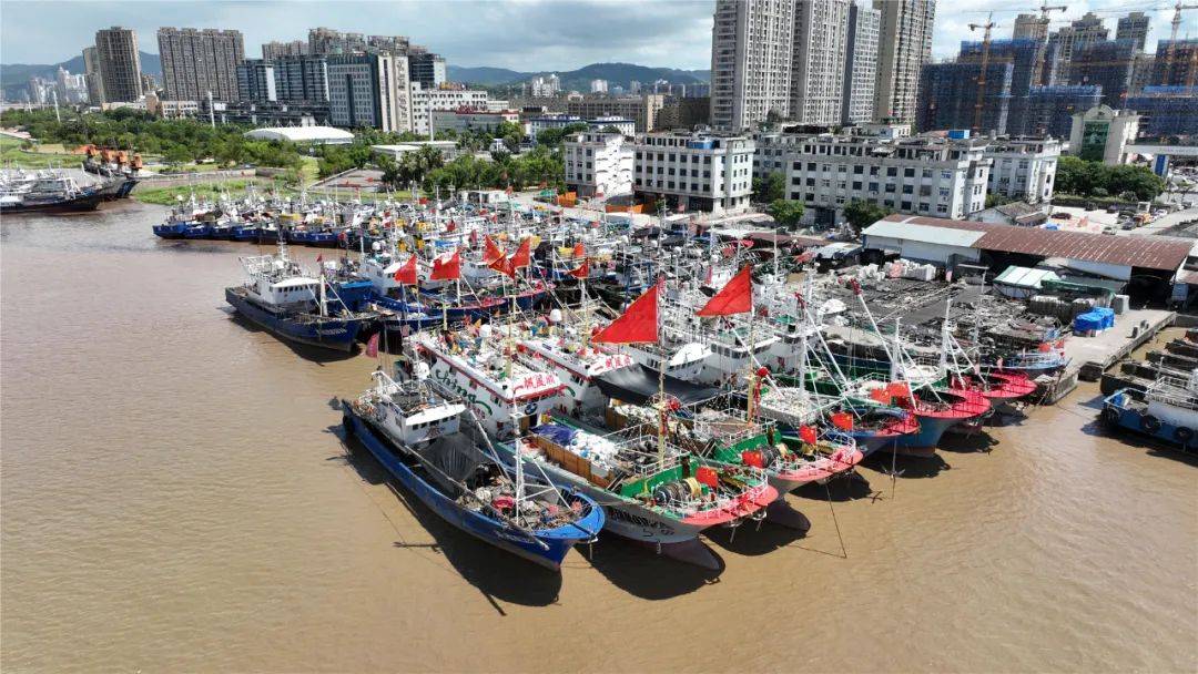 渔船最快今晚归来 开渔后海鲜更便宜