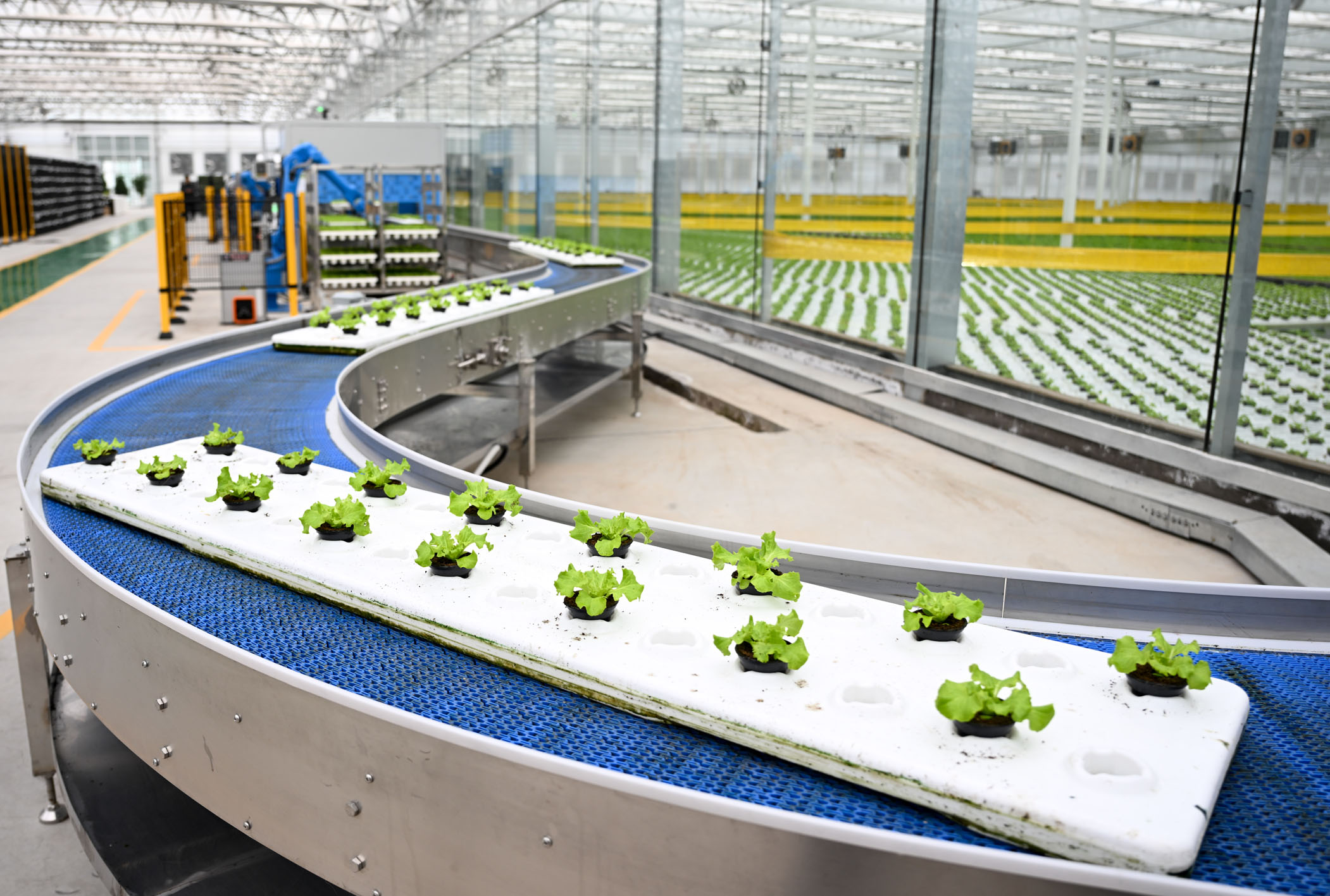 现代科技农业设施激活农业发展“新引擎” 特色产业展现蓬勃发展图景