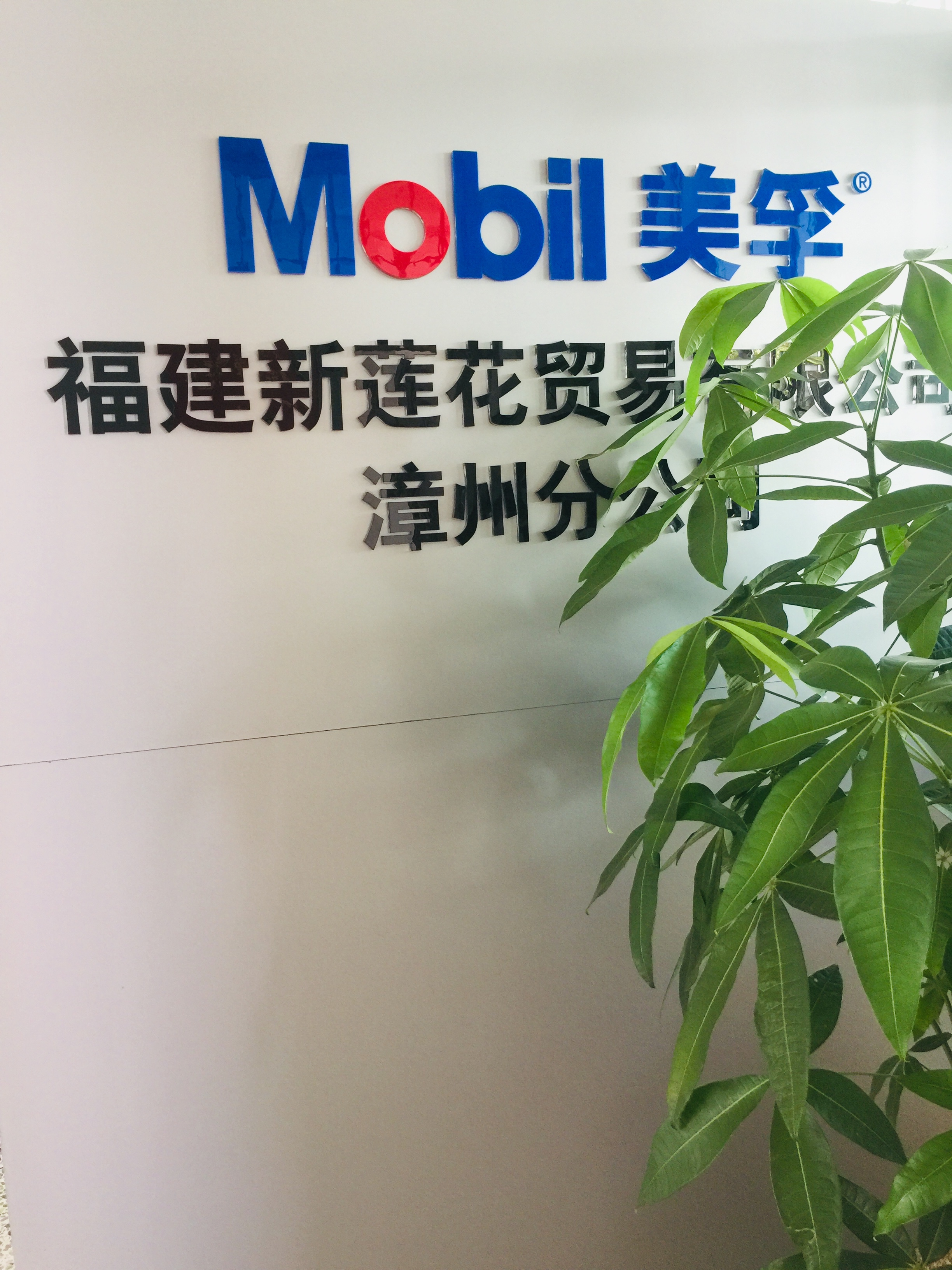 国风新材获得实用新型专利授权：“一种润滑油装油倾倒装置”