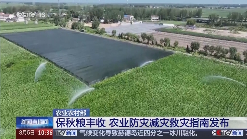 农业农村部部署秋粮作物中后期重大病虫害防控工作