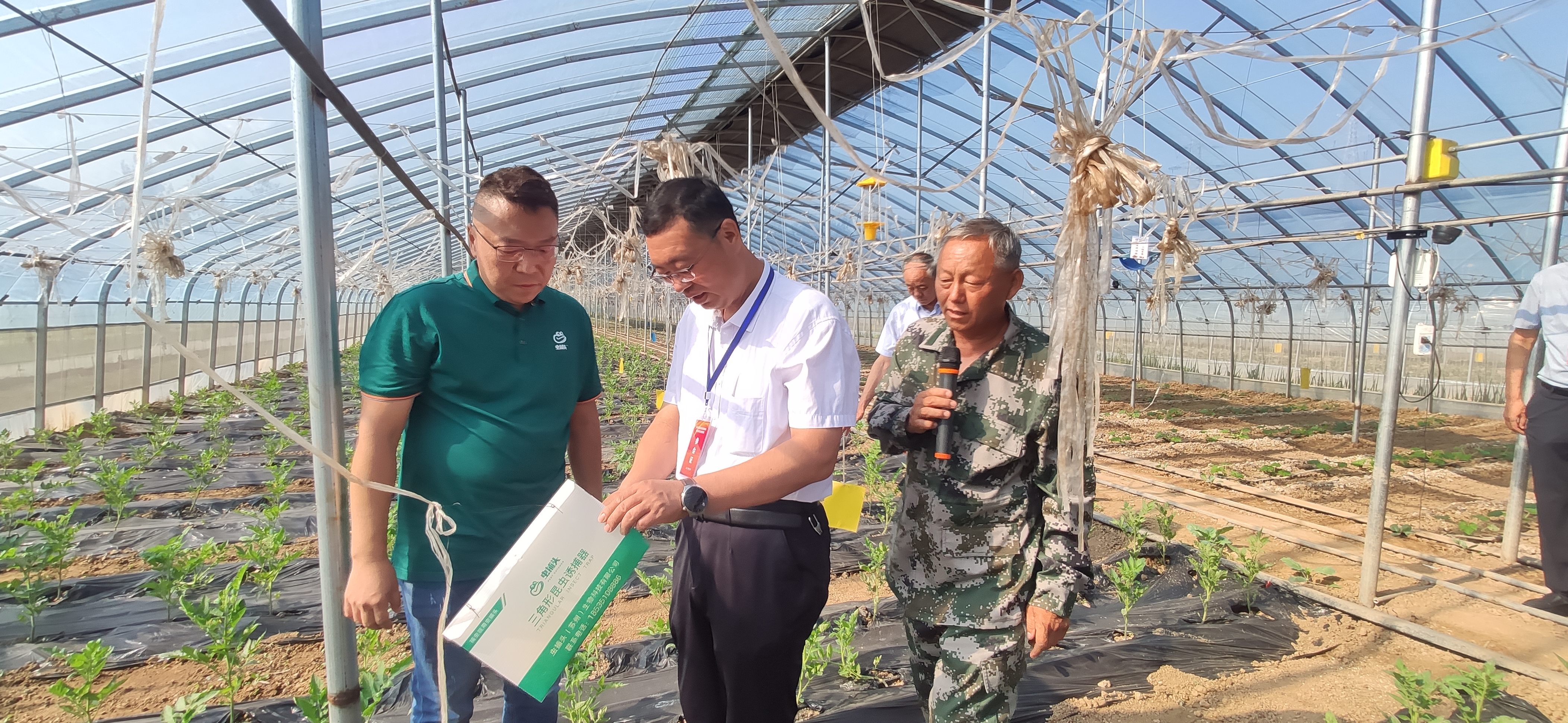 农业农村部部署秋粮作物中后期重大病虫害防控工作