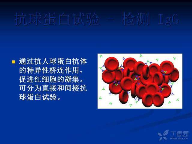 西点药业：构建适老化产品矩阵覆盖循环系统用药及抗贫血等领域