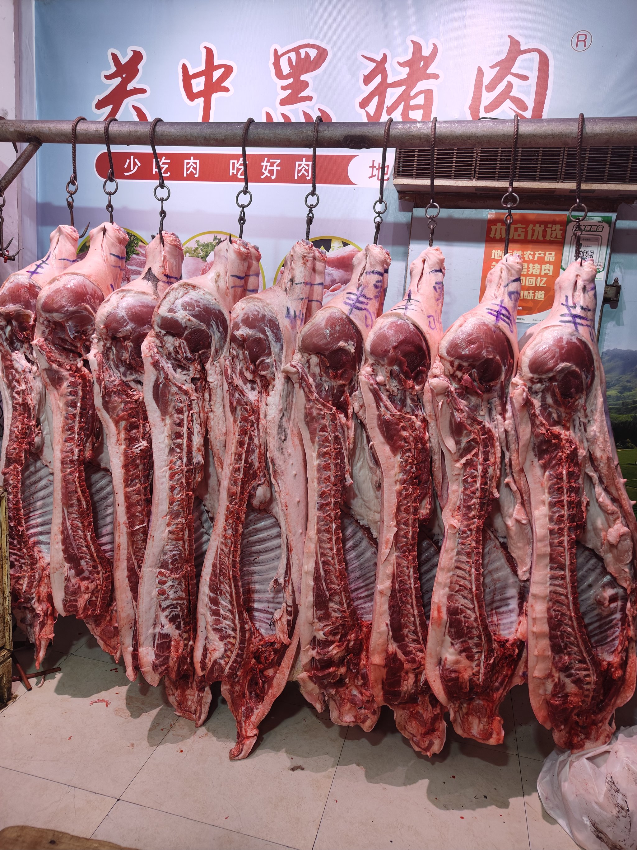 农业农村部：全国农产品批发市场猪肉平均价格为19.91元/公斤 较昨日升0.3%