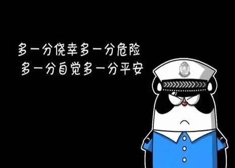 社会不能一味逃避风险