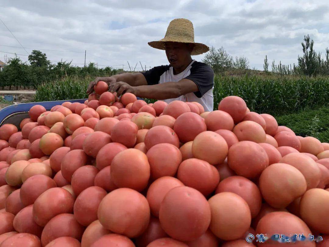 湖南华容县原县委书记刘铁健：地方特色产业如何强县富民