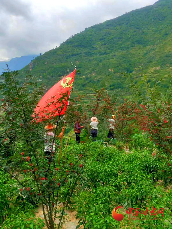 湖南华容县原县委书记刘铁健：地方特色产业如何强县富民