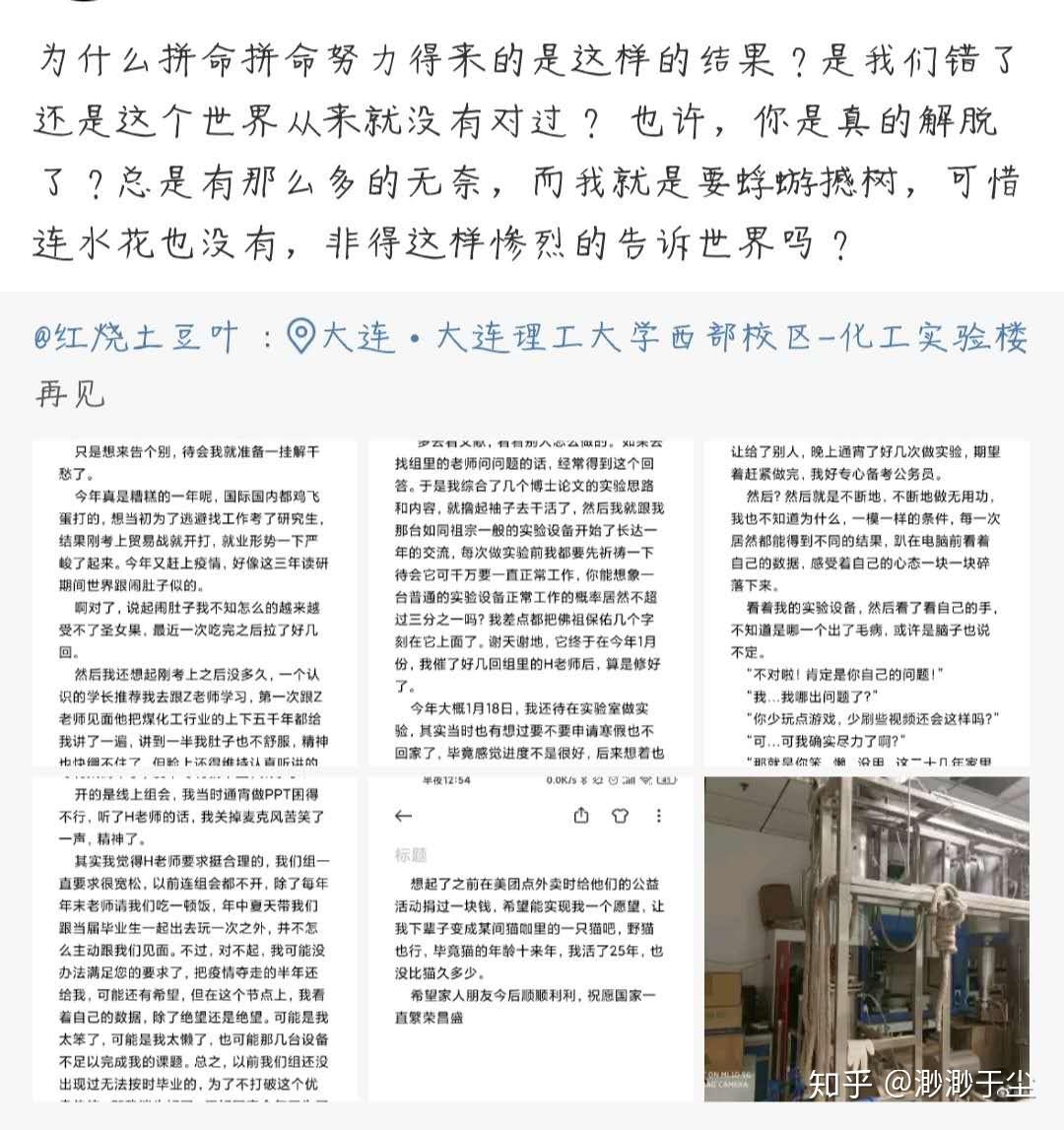 夸出来的脆弱：对赞赏教育的反思