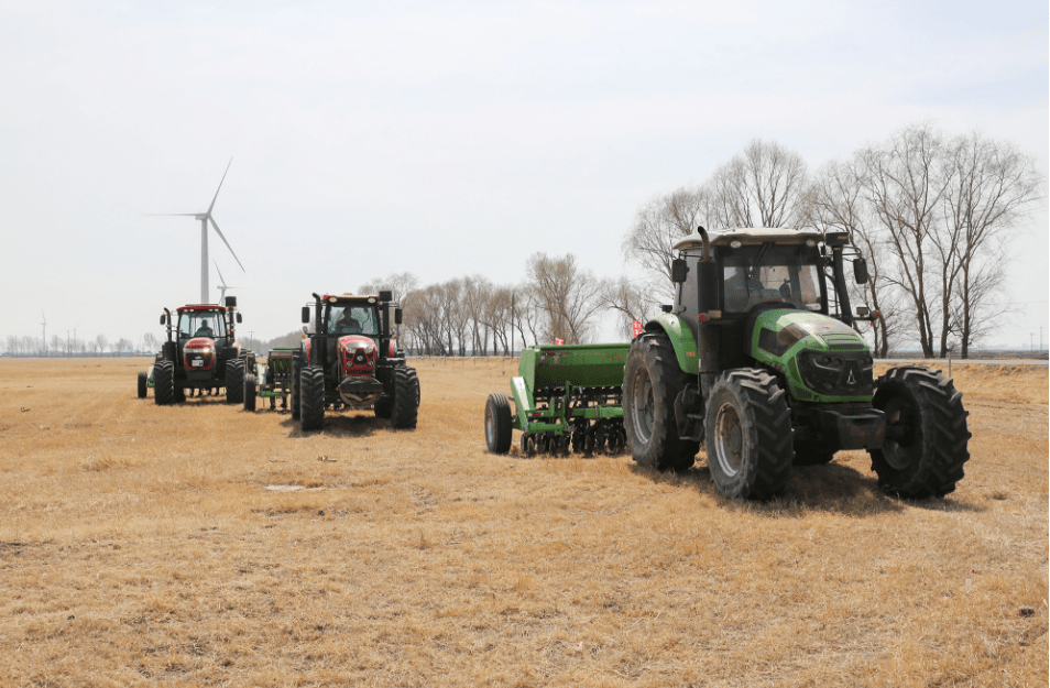 “十四五”期间 “三北”工程完成荒漠化综合治理超2亿亩