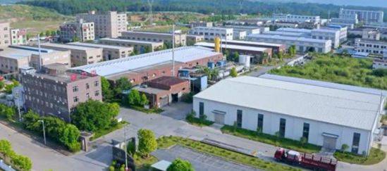 播恩集团：截至2025年9月20日股东人数为9,858户